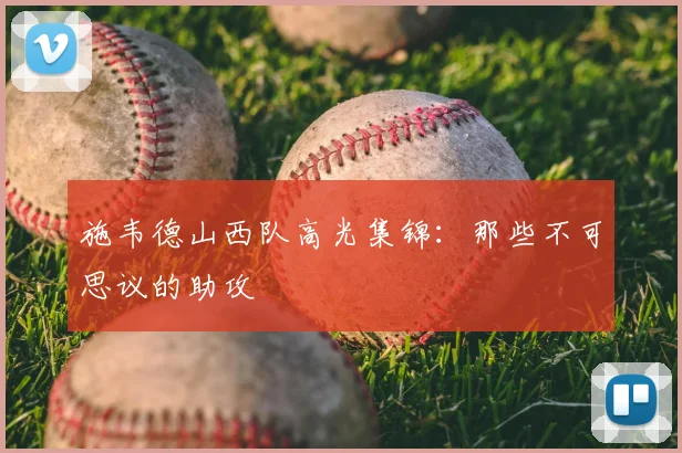 施韦德山西队高光集锦：那些不可思议的助攻